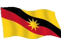 a yellow black and red flag with a yellow star in the center