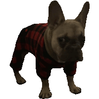 a french bulldog wearing a plaid shirt and pants