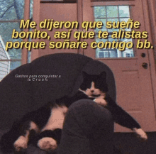 a black and white cat laying on a couch with a caption in spanish