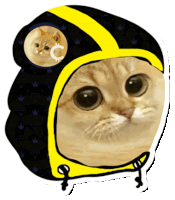 a sticker of a cat wearing a black and yellow hat