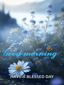 a picture of blue and white flowers with the words good morning have a blessed day