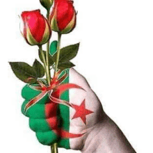 a hand with a flag painted on it is holding a bouquet of flowers .