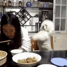 a woman is sitting at a table with a bowl of food and a white dog standing on its hind legs .