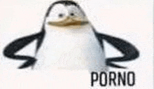 a penguin from spongebob squarepants is standing in front of a white background with the word porno on it .