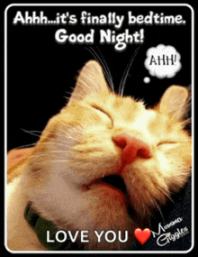 a picture of a cat with a speech bubble that says ahhh it 's finally bedtime good night love you