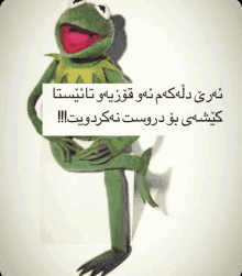 a kermit the frog sitting on a wall with a foreign language caption