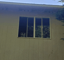 a window on the side of a house has a sticker on it that says ' no pets '