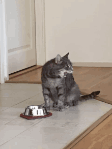 a cat sitting next to a bowl of food