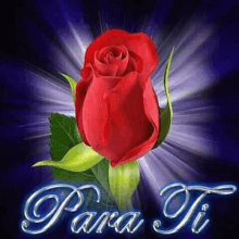 a red rose with green leaves is on a blue background with the words `` para ti '' written in silver .