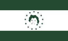 a green and white flag with a picture of a woman and stars