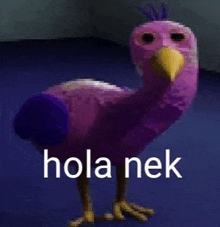 a purple bird with a yellow beak is standing on a blue surface with the words hola nek written on it .