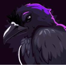 a black bird with purple feathers and a purple background