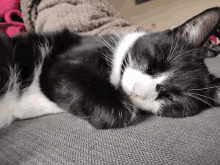 a black and white cat sleeping on a couch with its eyes closed