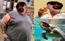 a picture of a man wearing headphones and a picture of a sea turtle