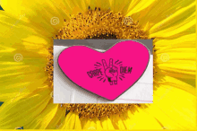 a pink heart with carpe diem written on it sits in front of a yellow sunflower