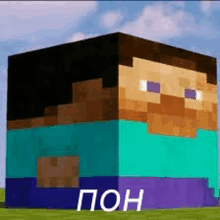 a giant minecraft block with a man 's head on it .