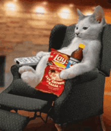 a cat is sitting in a chair holding a bag of lay chips and a bottle of pepsi