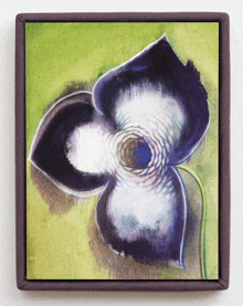 a framed painting of a flower with a green background