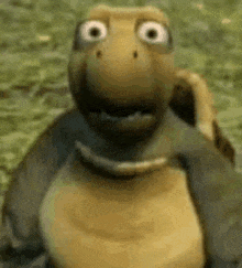 a cartoon turtle is standing in the grass and looking at the camera with a surprised look on its face .