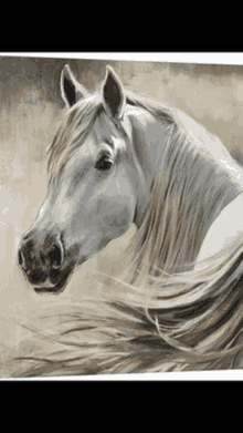 a painting of a white horse with a long mane