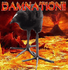 a picture of a black bird with flames behind it and the words damnation