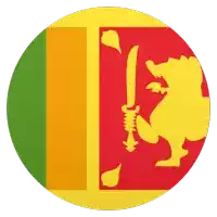 a lion holding a sword on a red and yellow flag