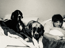 a man laying on a bed with two dogs laying next to him