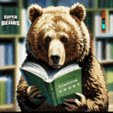 a bear is reading a book titled rainbow stacking $ rare