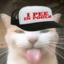 a cat wearing a hat that says `` i pee in pools '' with its tongue hanging out .