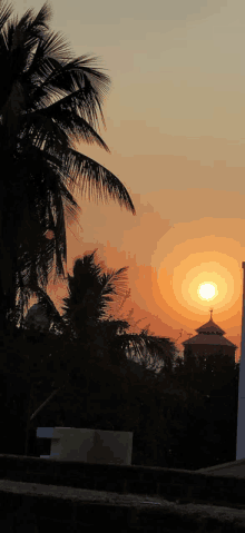 a sunset with a palm tree in the foreground and a tower in the background