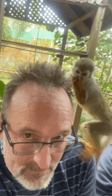 a man wearing glasses looks at a monkey that is sitting on his head