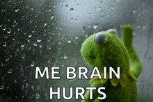 a kermit the frog looking out a window with the words me brain hurts