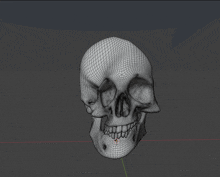 a 3d model of a skull is displayed on a dark background