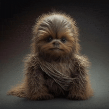 a baby chewbacca from star wars is sitting on a gray surface