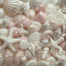 a pile of pink and white seashells including a starfish