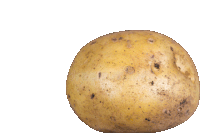 a potato on a white background with a few black spots on it