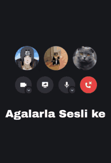 a screenshot of a video call with itachi and a cat on it