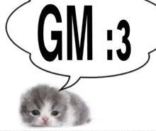 a cat with a speech bubble above it that says gm 3