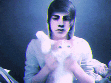 a person holding a cat in their hands with a blue background