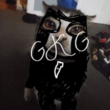 a drawing of a cat with glasses and the word gxc