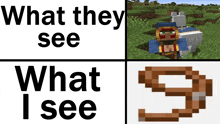 what they see what i see in minecraft