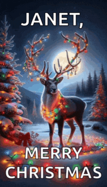 a reindeer with christmas lights on its antlers