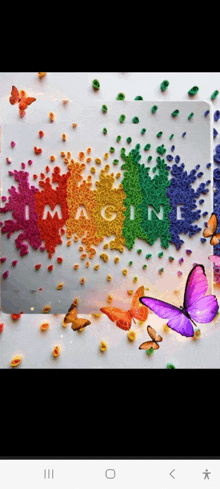 a picture of butterflies and flowers with the words imagine on it