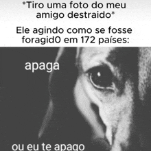 a black and white photo of a dog 's eye with the caption " tiro uma foto do meu amigo destroido "