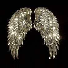 a pair of gold angel wings with sequins on them on a black background