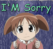 a picture of a girl with the words " i 'm sorry " on it