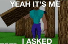 a picture of a minecraft character holding a piece of wood with the caption " yeah it 's me i asked "