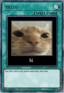 a card with a picture of a cat on it says hello