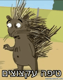 a cartoon drawing of a porcupine with a foreign language caption