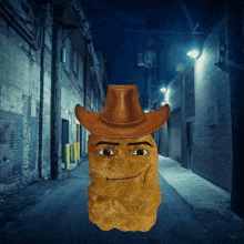 a chicken nugget wearing a cowboy hat is standing in an alley .